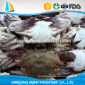 new season frozen swimming crab processed from live crabs